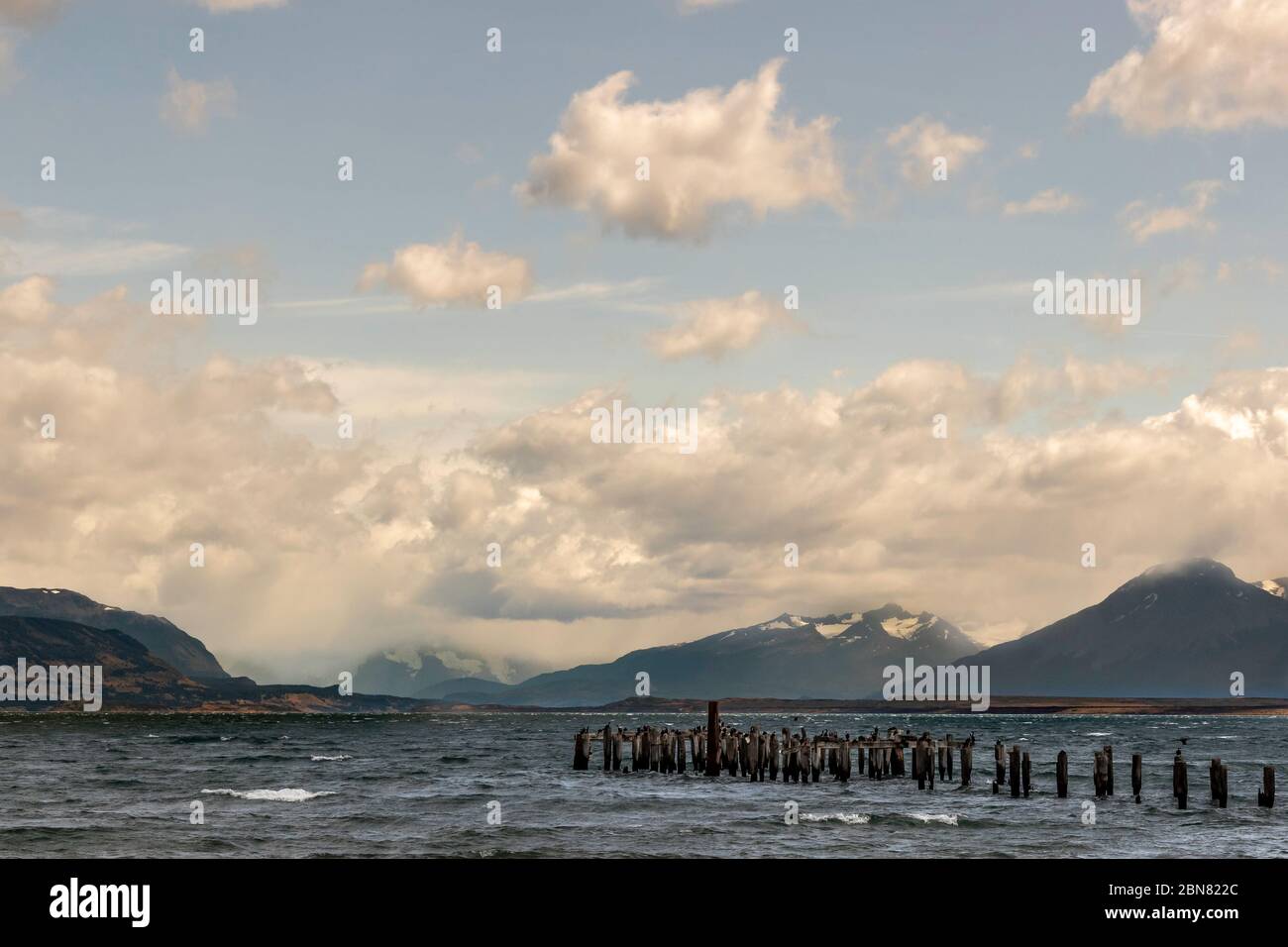 Pali di legno di un vecchio molo, Puerto Natales, Patagonia, Cile, Cerro Monumento Moore sullo sfondo. Foto Stock