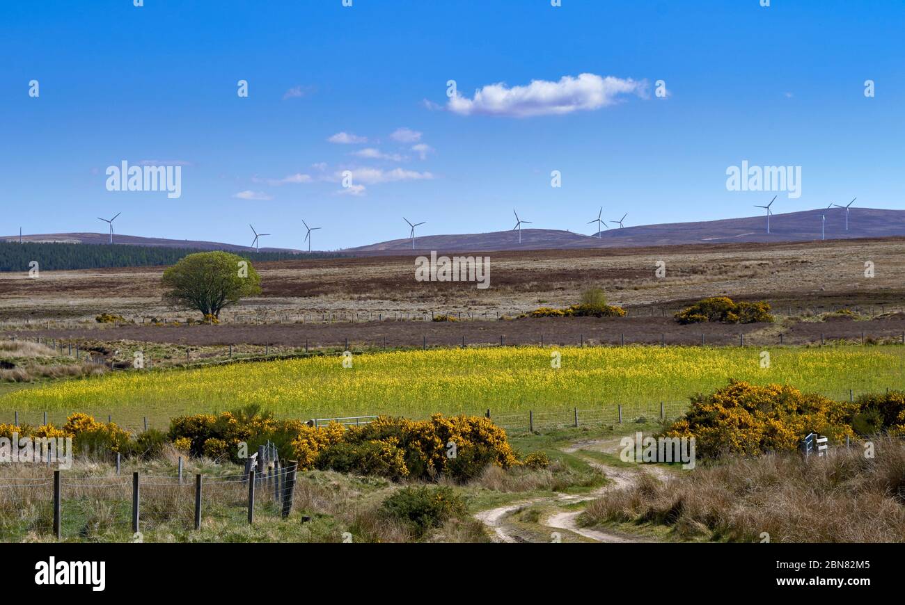 DAVA WAY TRAIL MORAY SCOZIA TURBINE EOLICHE SULLA HEATHER MOOR Foto Stock