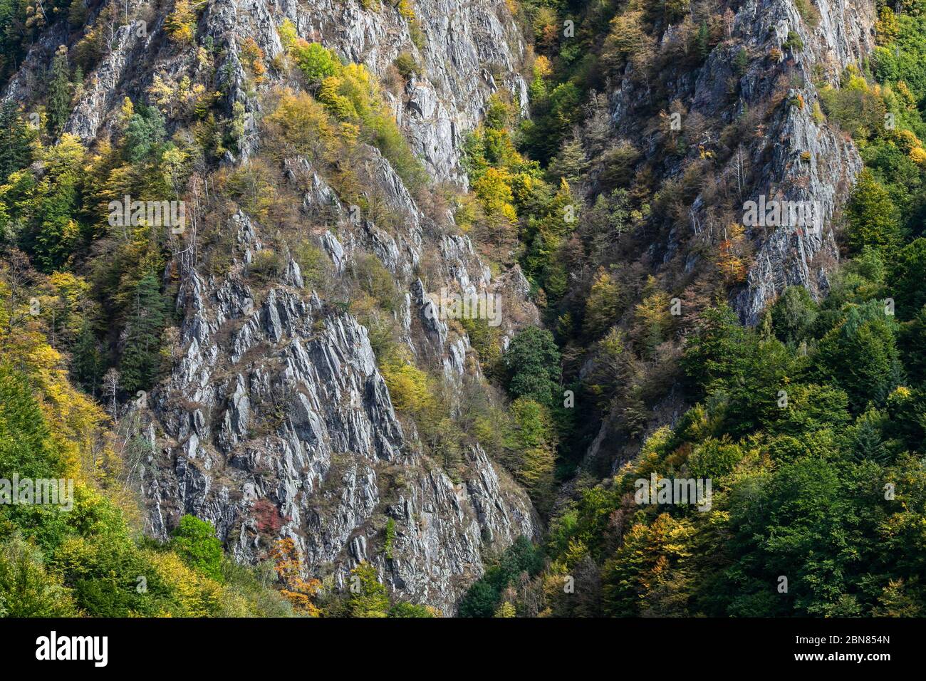 Scogliera di roccia coperta di foresta d'autunno Foto Stock