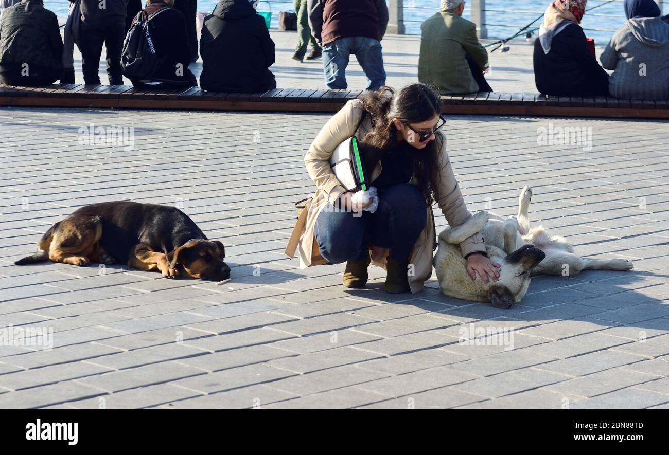 Istanbul, Turchia. Donna gioca con i cani di strada a Üsküdar Foto Stock
