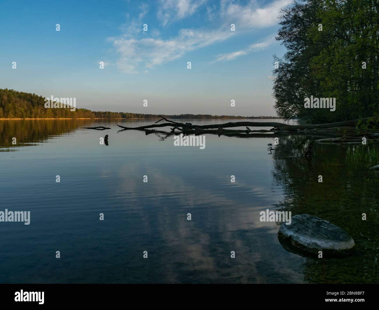 Lago Hancza, il lago più profondo della Polonia. Giorno di sole, tardo pomeriggio, cielo che si riflette in acqua. Parco paesaggistico di Suwalski, Podlaskie, Polonia Foto Stock