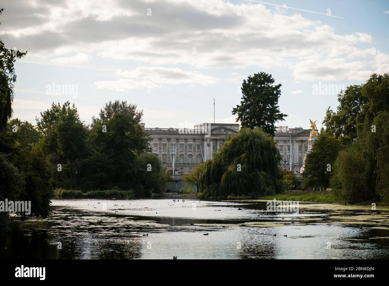 Buckingham Palace e Victoria Monument si affacciano dall'altra parte del lago a St. James Park, Londra, Regno Unito Foto Stock