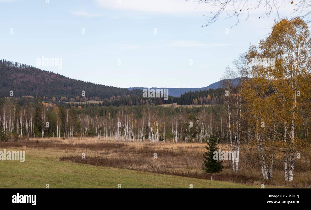Landschaft im Boehmerwald Foto Stock