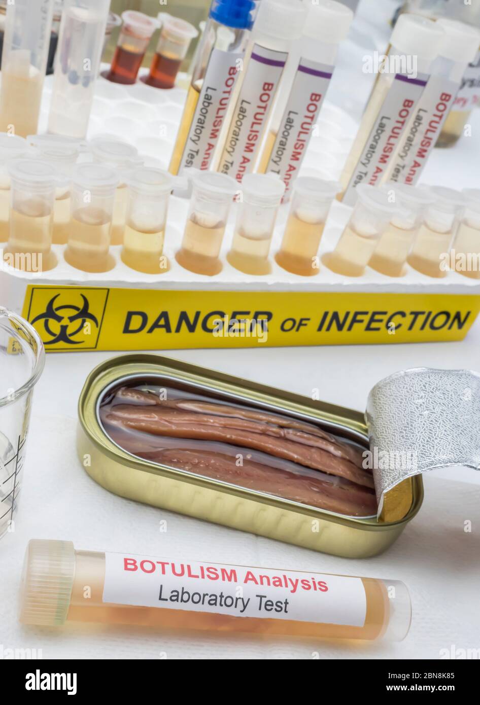 Il cibo in scatola può essere contaminato dalla tossina botulinica Clostridium che causa botulismo negli esseri umani, ricerca di laboratorio, immagine concettuale Foto Stock