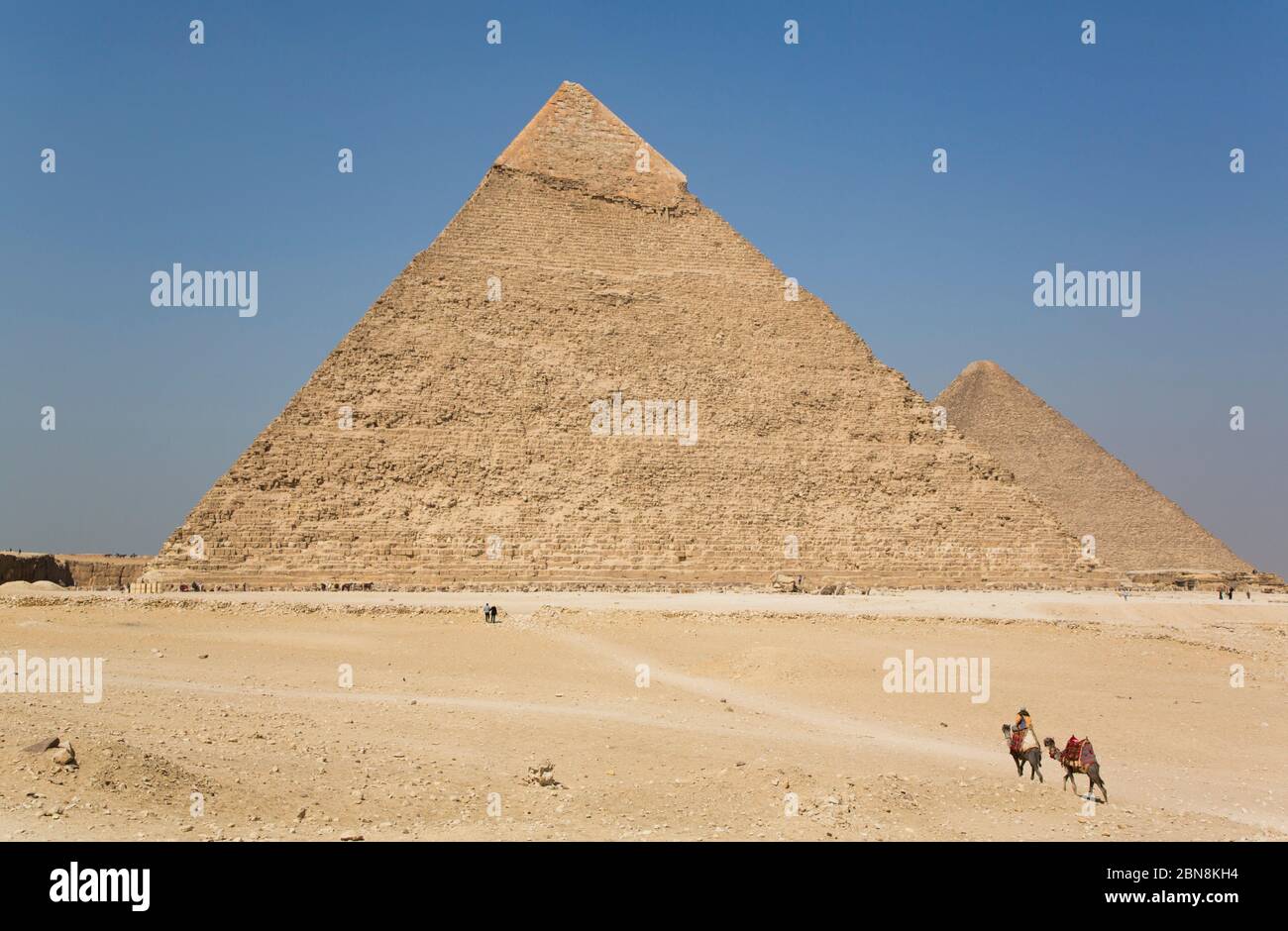 L'uomo locale sul cammello, la Piramide di Khafre (sfondo), le grandi Piramidi di Giza, Sito Patrimonio dell'Umanità dell'UNESCO, Giza, Egitto Foto Stock