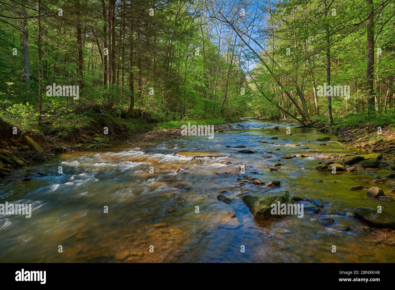 Flowing War Creek nel Kentucky orientale. Foto Stock
