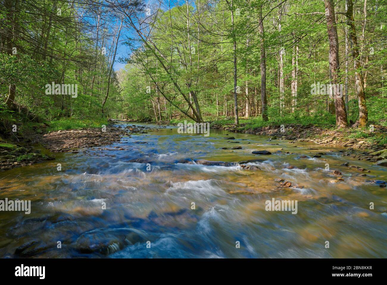 Flowing War Creek nel Kentucky orientale. Foto Stock