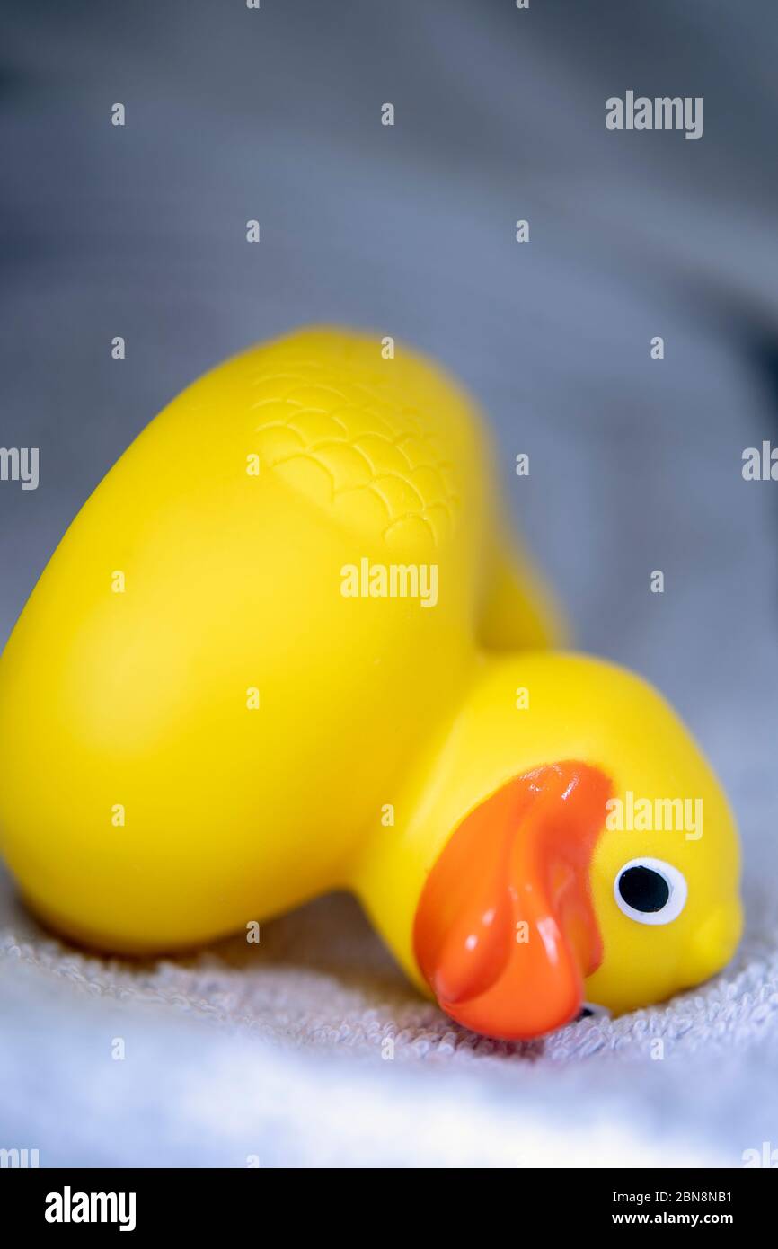 Anatra giocattolo gialla poggiata su un asciugamano da bagno Foto Stock