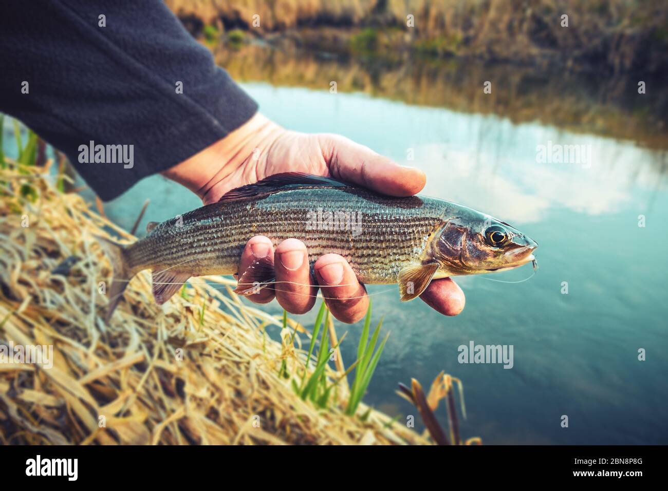 3 Mosche Da Pesca Dolly Lama In Pelle Di Coniglio – Alaska, Trota E Salmone, Colori Bianco E Nero, Grandezza 4 - Foto 2