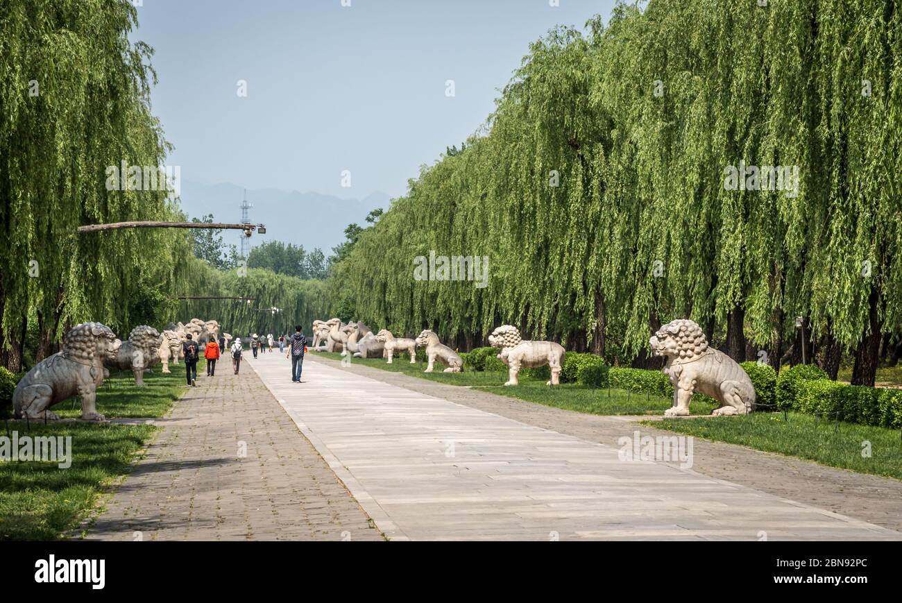 Statue di animali custoditi, Via Sacra, Tombe Ming, vicino a Pechino Foto Stock