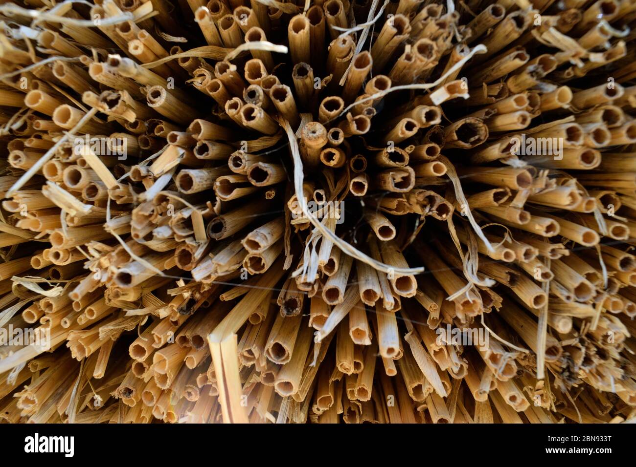 Estremità della paglia sul tetto con paglia scongelata Foto Stock