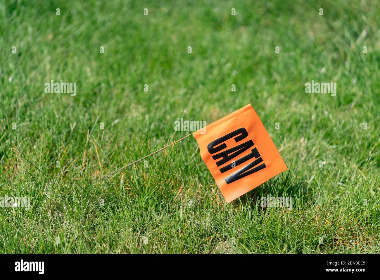 CATV in lettere nere su una bandiera arancione bloccato in un prato verde erba per la chiamata prima di scavare servizio Foto Stock