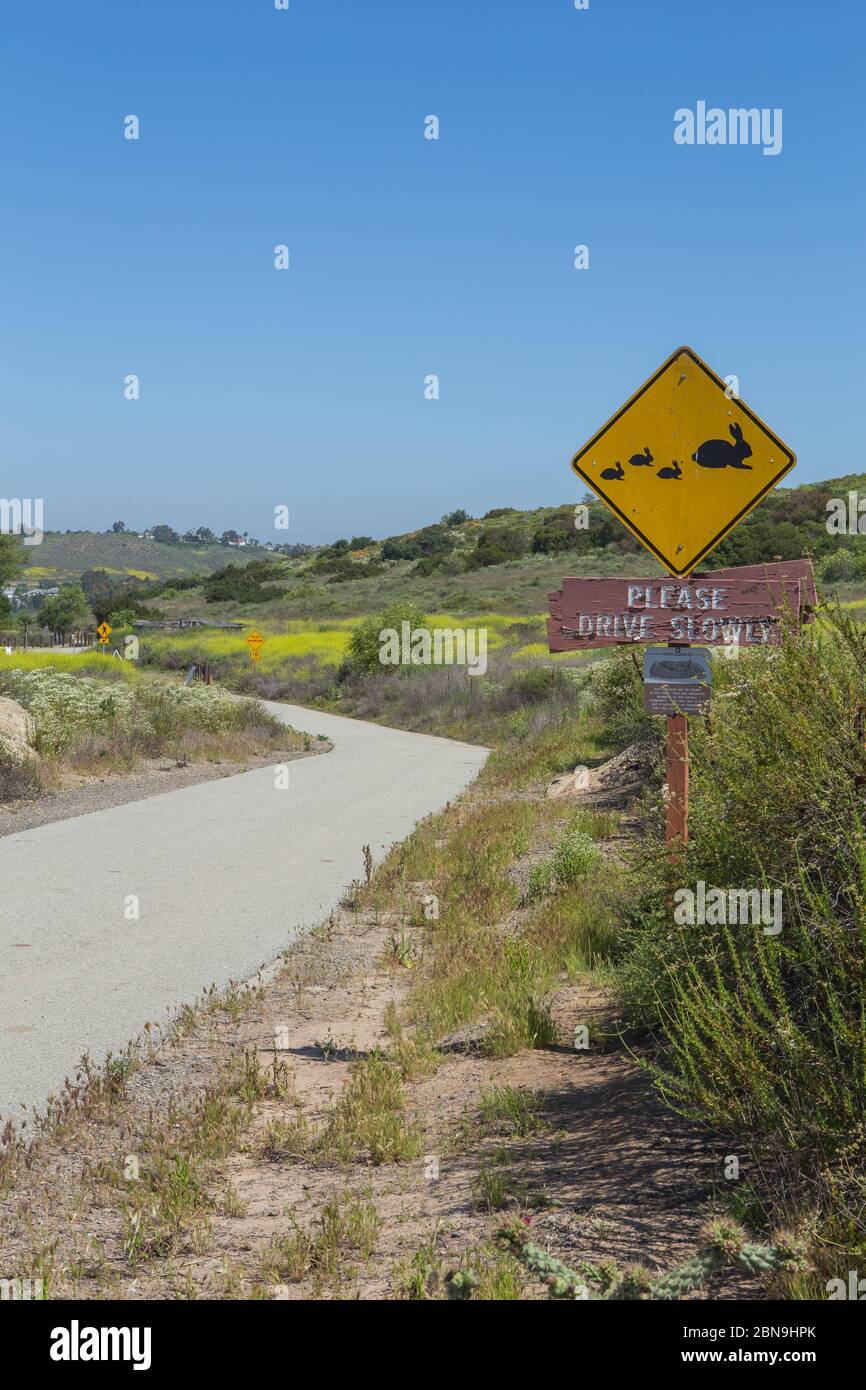Cartello giallo di avvertenza sulla fauna selvatica che mostra l'area di attraversamento dei conigli adulti e bambini che ricorda agli automobilisti di guidare lentamente Foto Stock