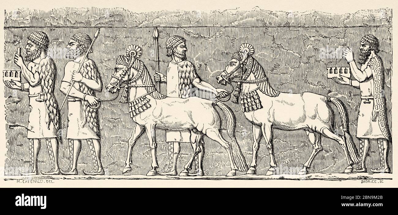 Bassorilievo assiro dal palazzo di Sardanapalo, cavalli in un corteo. Antica illustrazione incisa del 19 ° secolo, le Tour du Monde 1863 Foto Stock