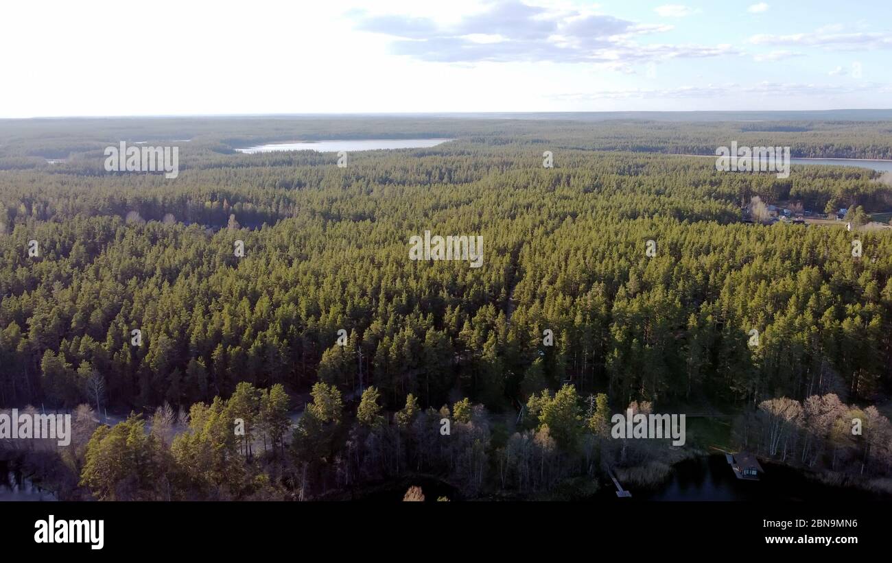 Vista aerea del lago Borisovskoye, la foresta e l'insediamento in autunno giorno, Borisovo, Leningrado Oblast, Russia Foto Stock