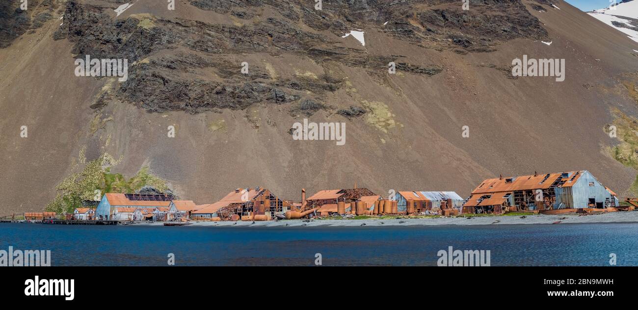 Panorama di Stromness Bay dove Shackleton è stato salvato Foto Stock