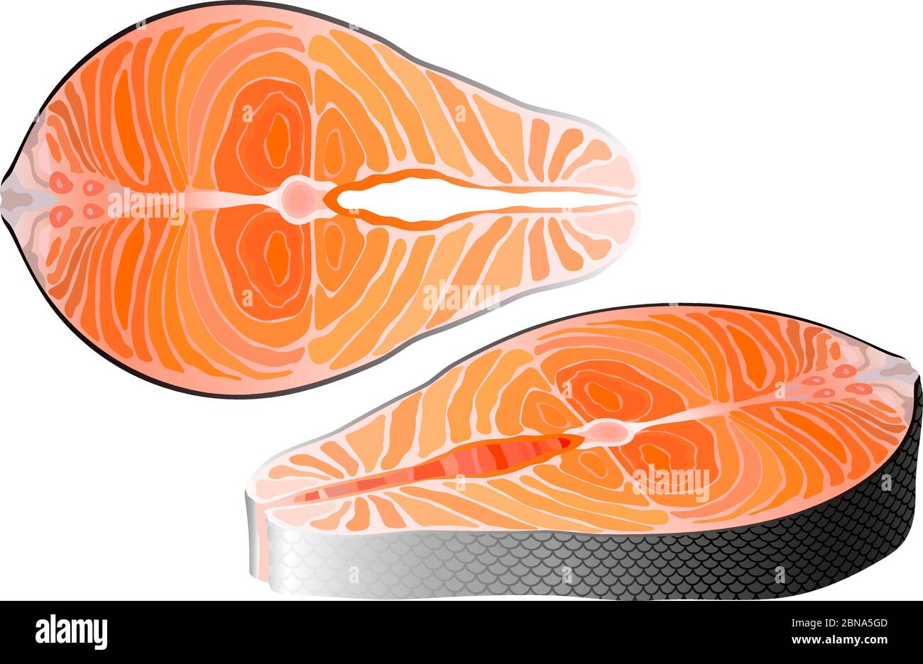 Salmone crudo bistecca di pesce rosso top e vista prospettica vettore Illustrazione Vettoriale