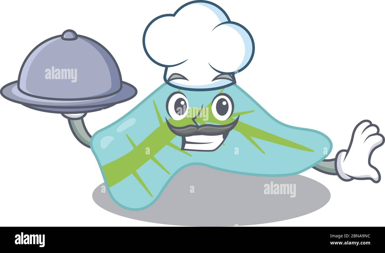 mascotte design di pancreas chef che serve cibo su vassoio Illustrazione Vettoriale