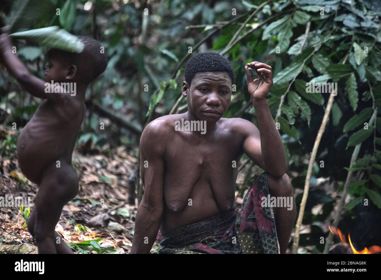 Tribù dei Pigmy nella riserva forestale di DZANGA-Sanha, REPUBBLICA CENTRAFRICANA Foto Stock