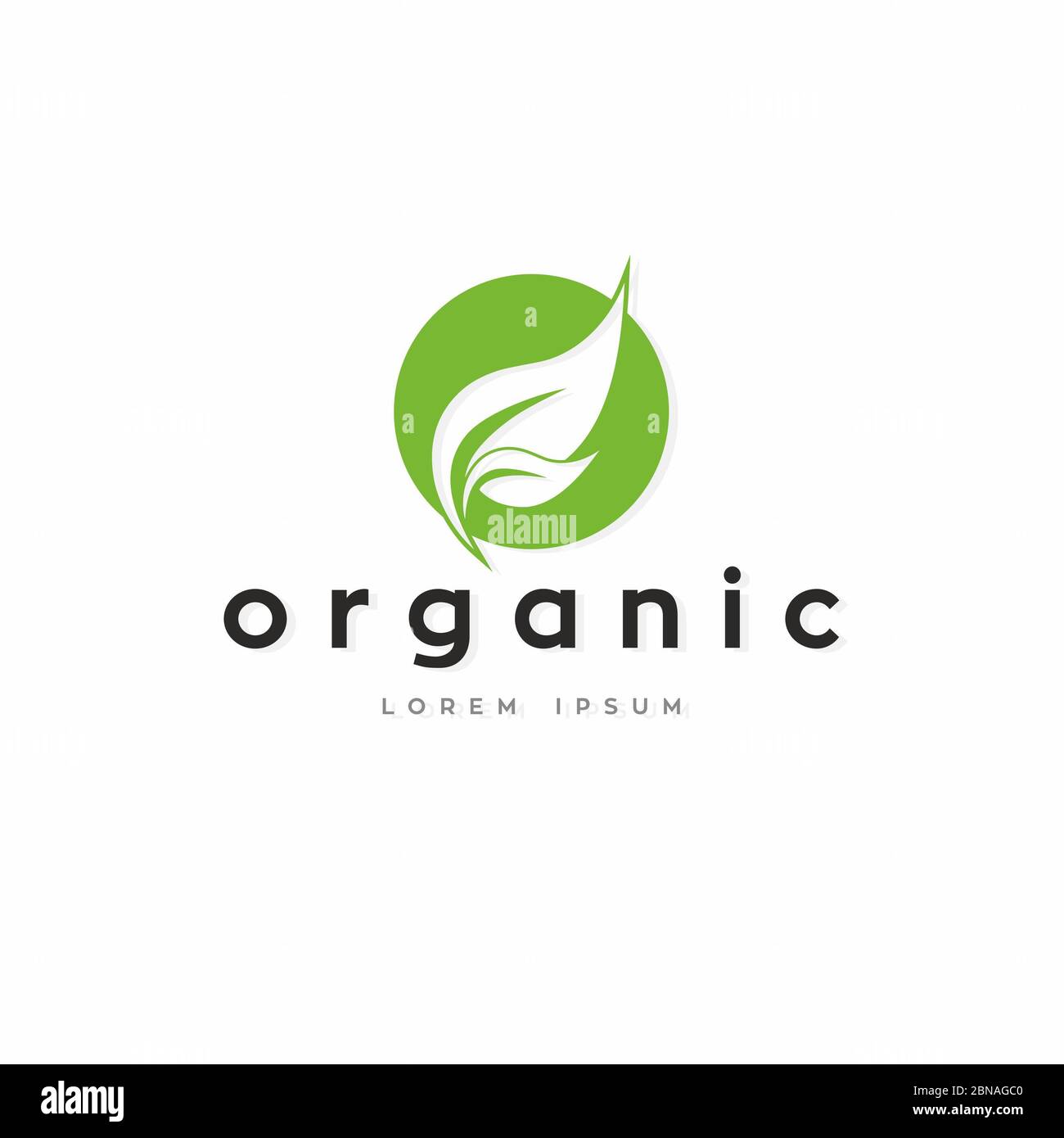Logo di parola ORGANICA . Icona ecologia - isolato su sfondo bianco. Grafica, mnemonica editabile, illustrazione Foto Stock