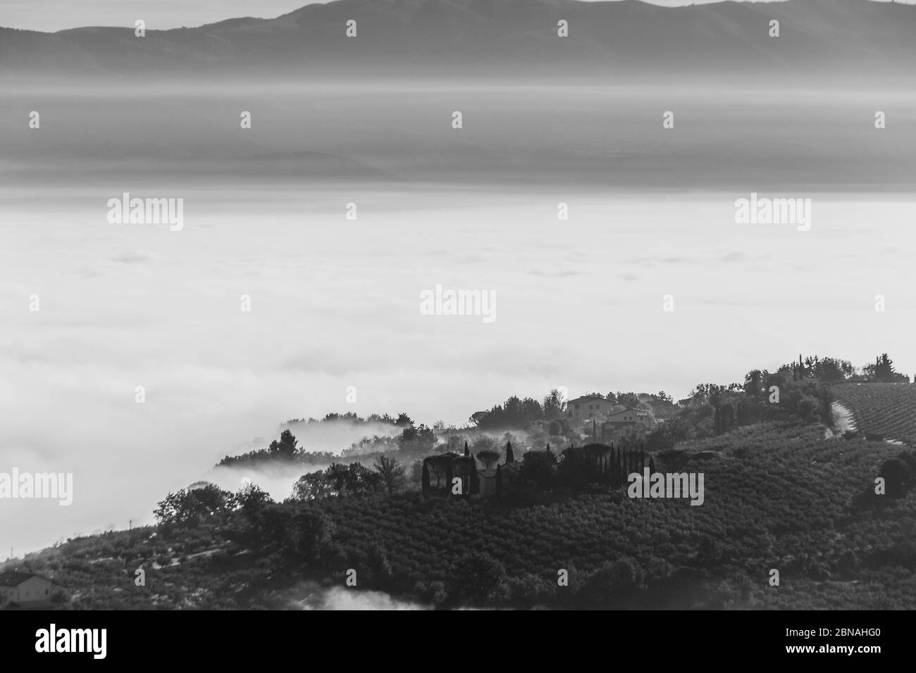 Vista surreale di una piccola cittadina umbra quasi completamente nascosta dalla nebbia con silhouette di alberi in primo piano Foto Stock