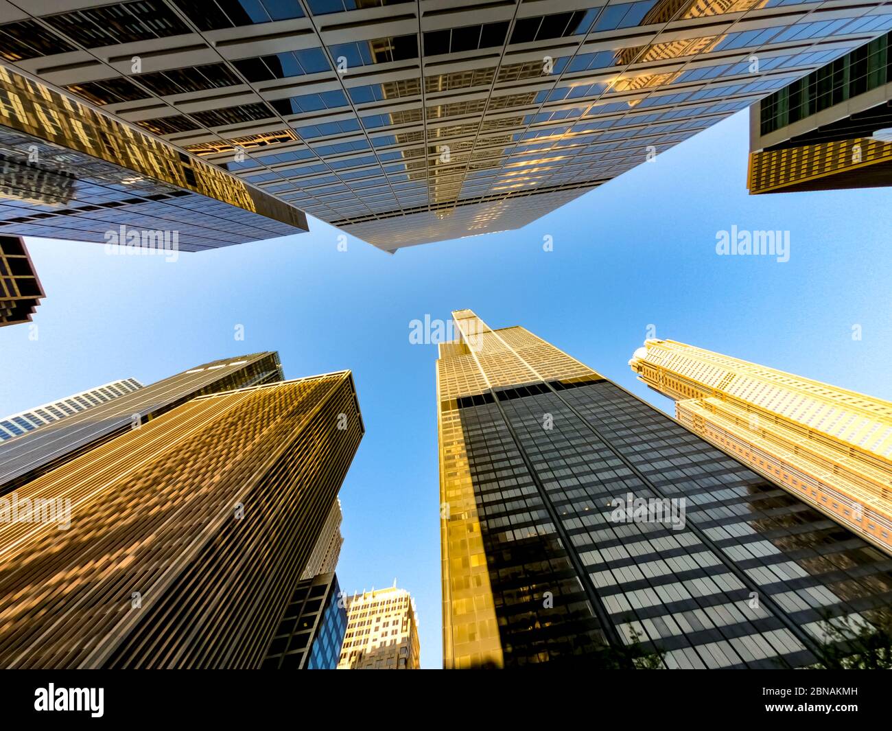 Vista dall'alto dei grattacieli di chicago e degli alti edifici degli uffici. Mostra vari stili architettonici. Illinois stati uniti. Foto Stock