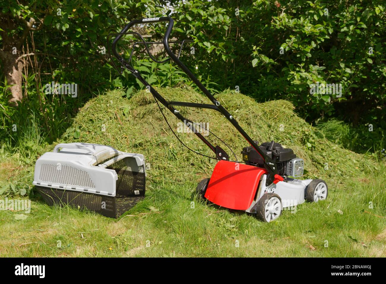 Rasaerba davanti al composto Foto Stock