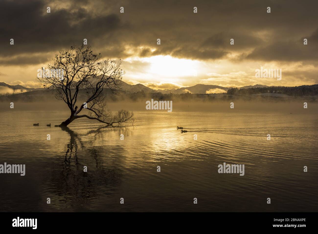 Foto mozzafiato del lago Wanaka nel villaggio di Wanaka, Nuova Zelanda Foto Stock