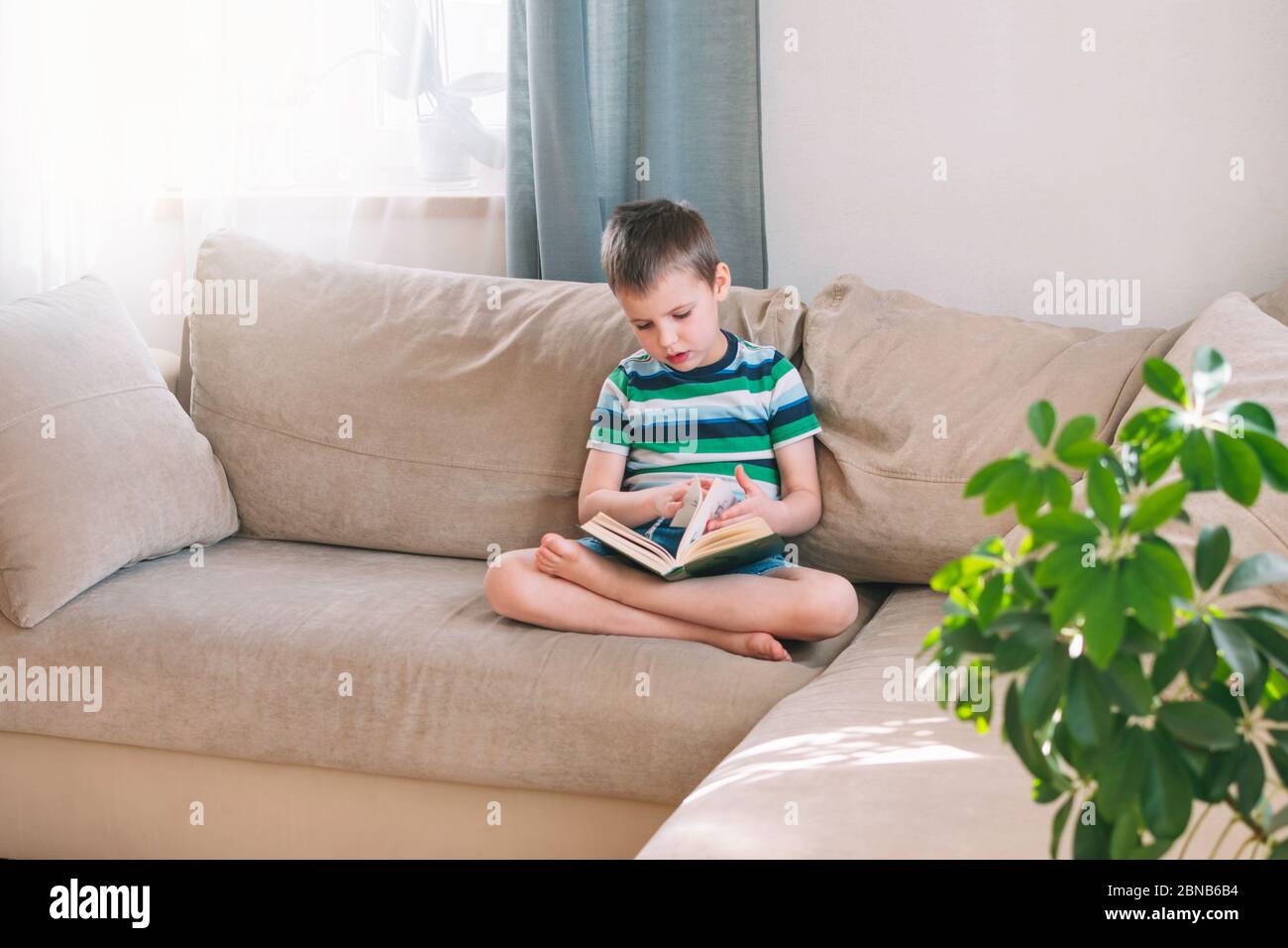 Ragazzo che legge un libro a casa sul divano. Formazione a distanza. Detox digitale. Foto Stock