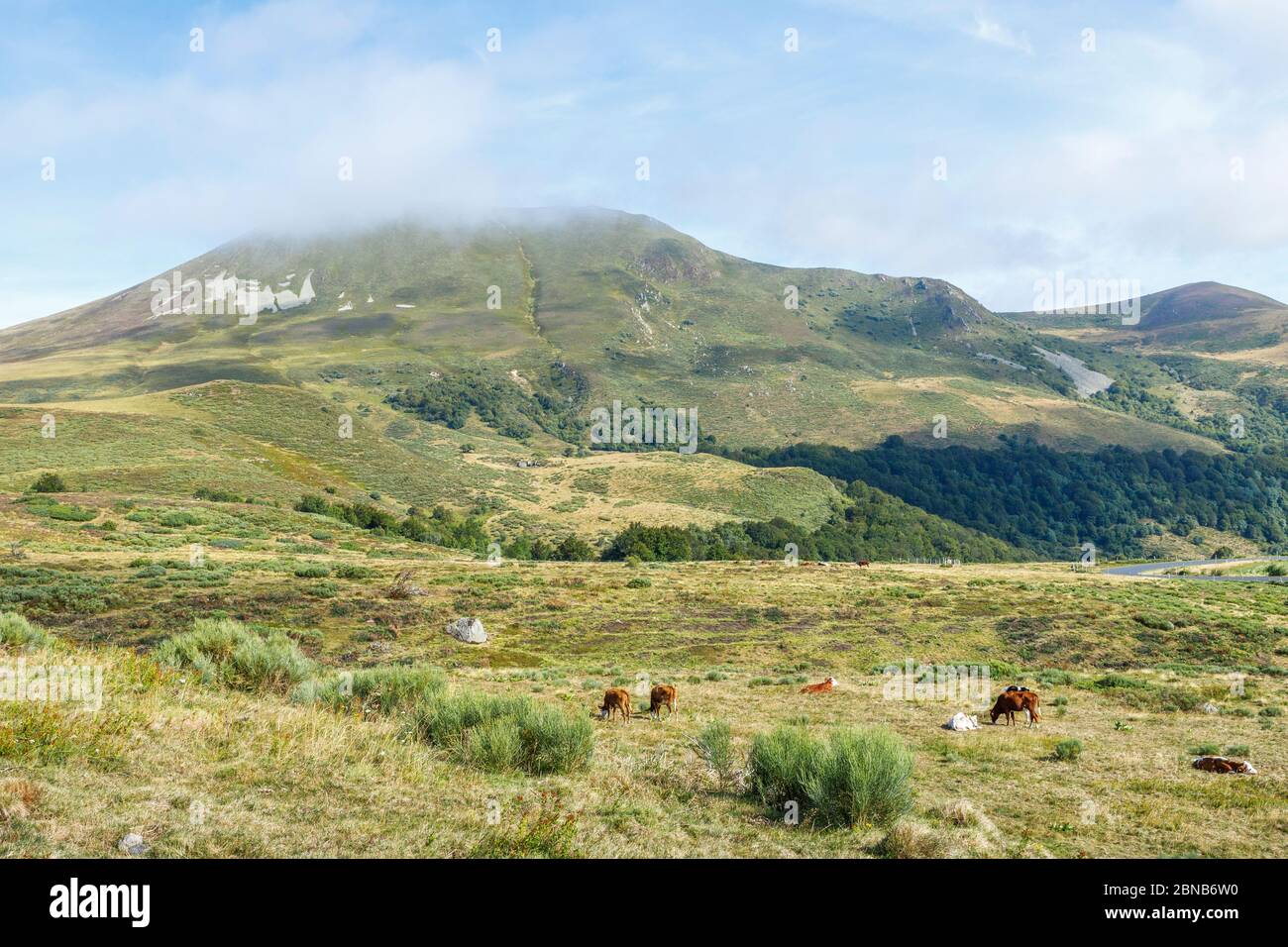 Francia, Puy de Dome, Parco Naturale Regionale Volcans d’Auvergne, Chambon sur Lac, paesaggio tra Chambon sur Lac e Mont Dore // Francia, Puy-de-Dôme Foto Stock