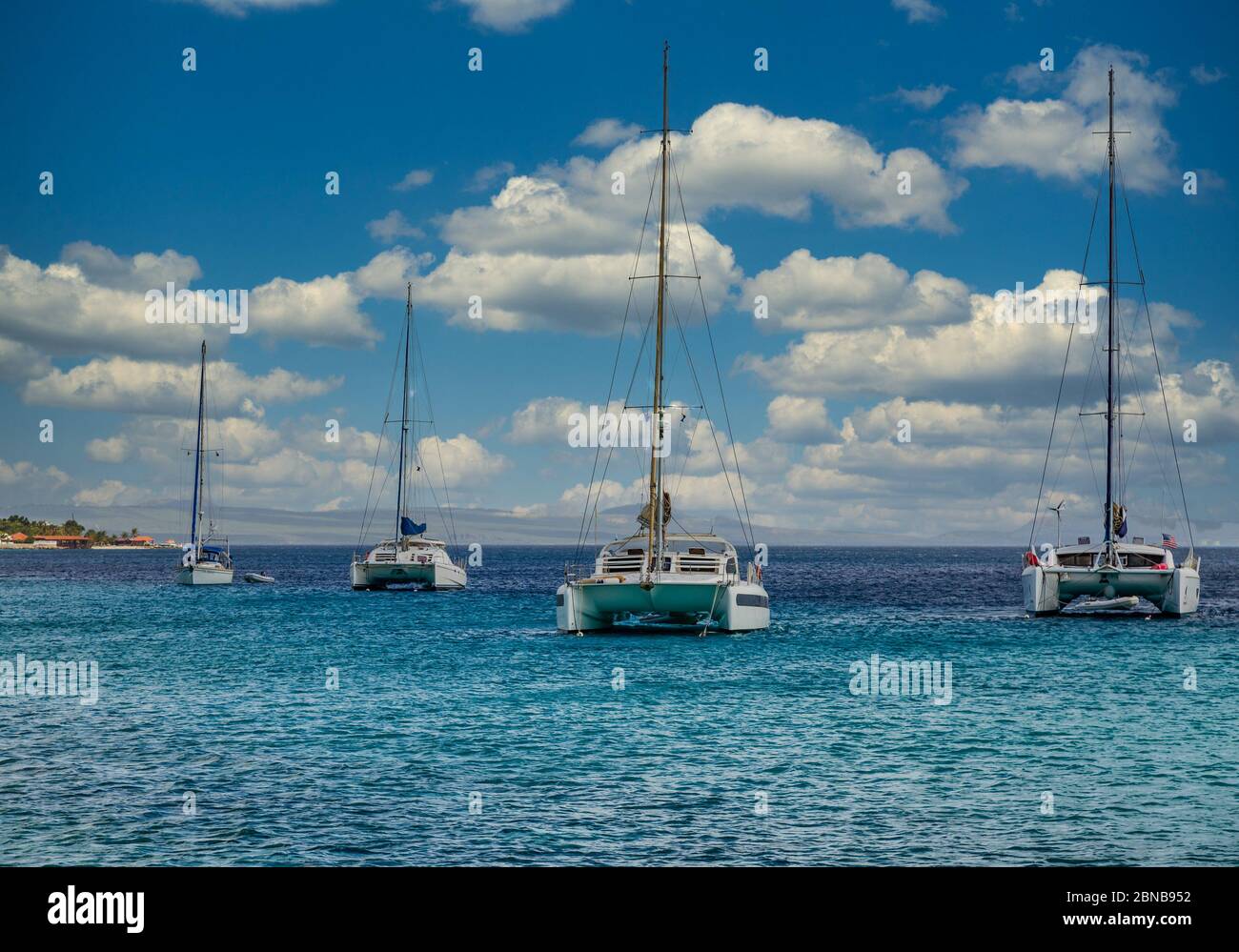 Catamarani bianchi e Barche a vela Foto Stock