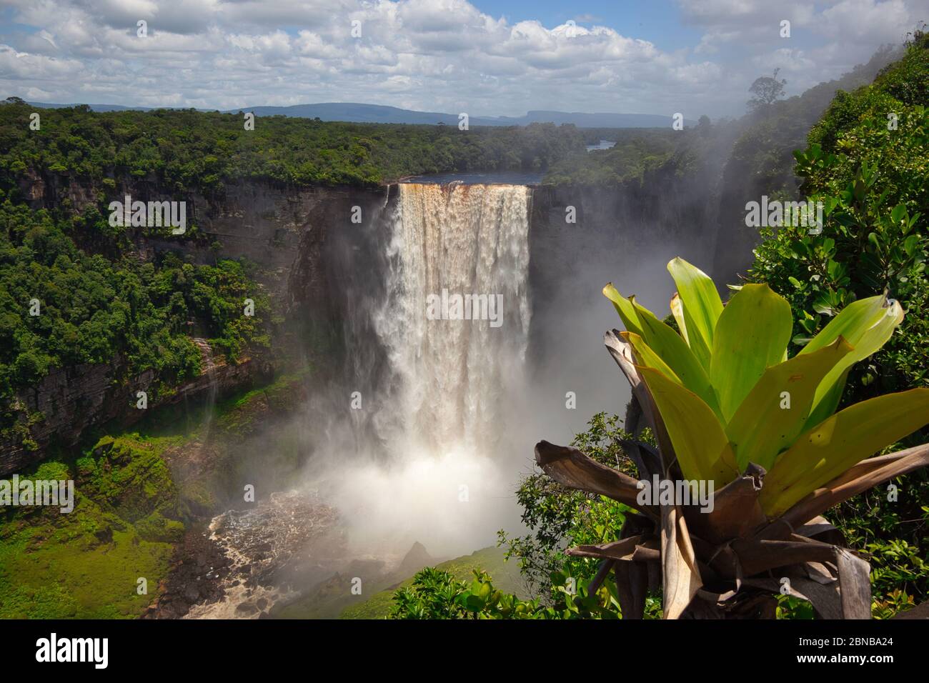 Cascate di Kieteur, Parco Nazionale di Kieteur, nella regione di Potaro-Siparuni, Guyana e parte della foresta pluviale amazzonica. Il fiume Pataro si tuffa a 226 metri Foto Stock