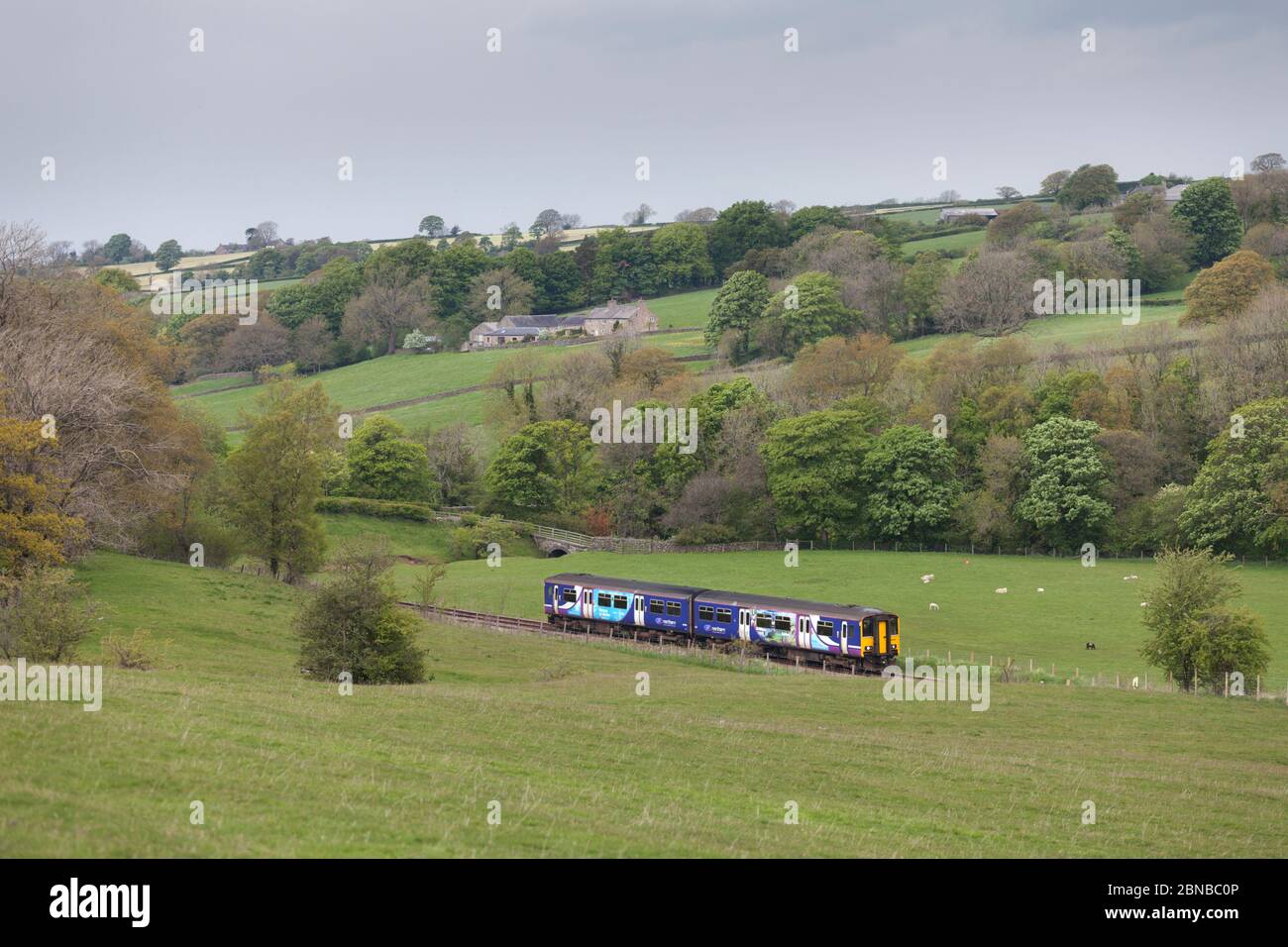 Treno sprinter diesel classe 150 della Northern Rail nella campagna che passa da Mewith sulla linea ferroviaria 'Little North West' nello Yorkshire occidentale Foto Stock