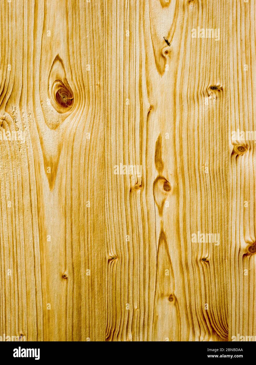 legno Foto Stock