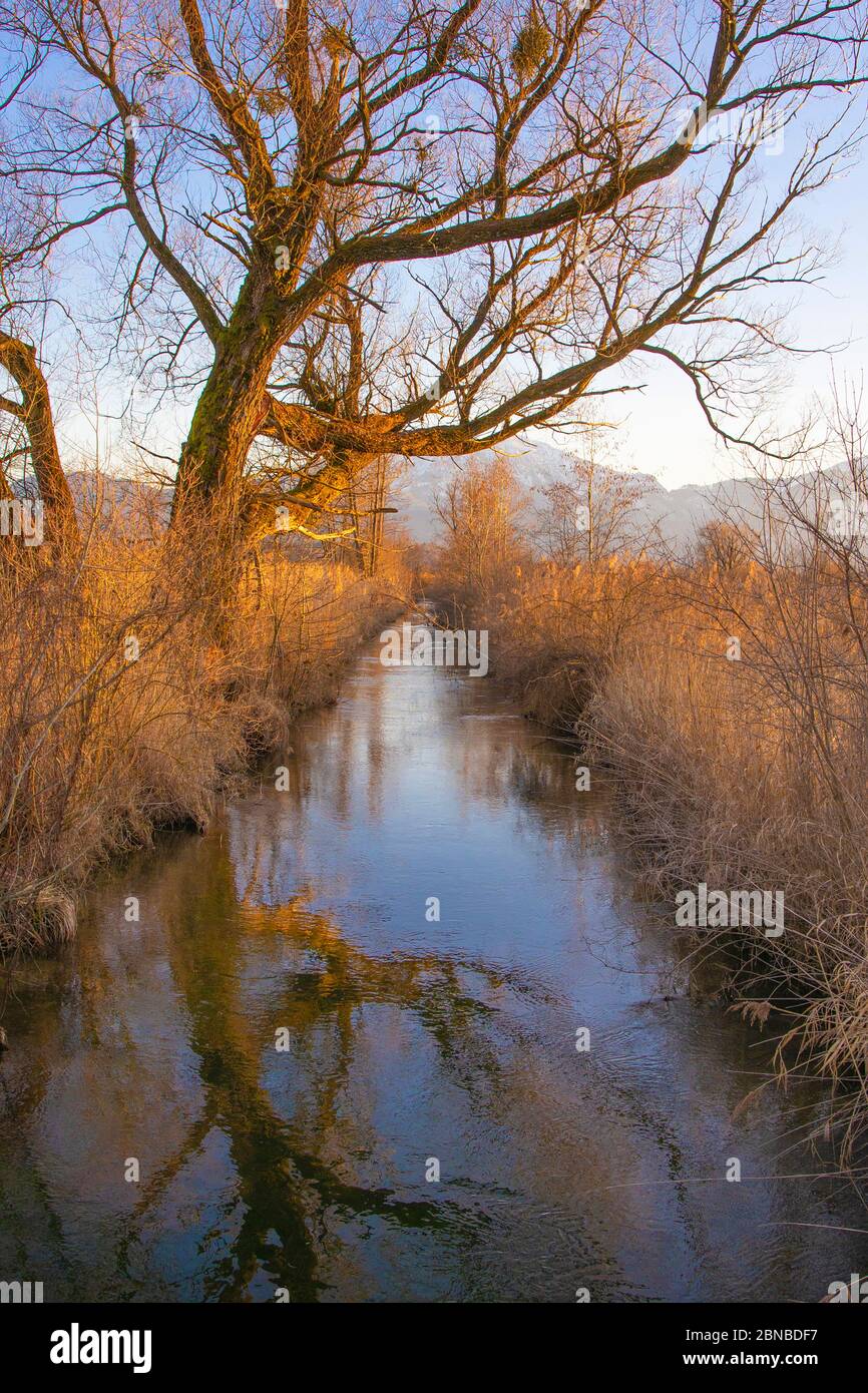 Fiume raddrizzato con boschi di pianura di fronte al paesaggio Alp, Germania, Baviera, Lago Chiemsee Foto Stock