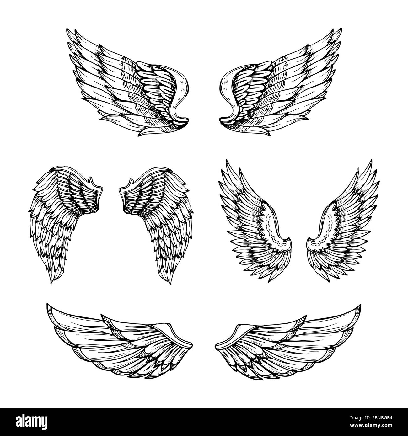 Ala disegnata a mano. Disegnare le ali dell'angelo con le piume. Disegno del tatuaggio vettoriale isolato. Disegno di disegno di disegno di disegno di angelo dell'ala, di disegno di piuma dell'uccello Illustrazione Vettoriale