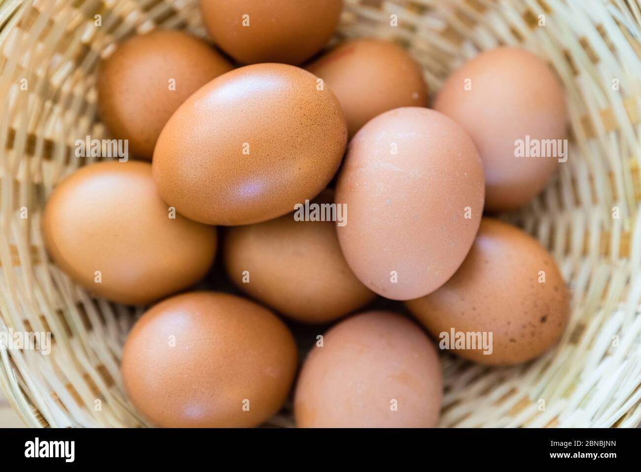 Uova fresche nel cestello Foto Stock