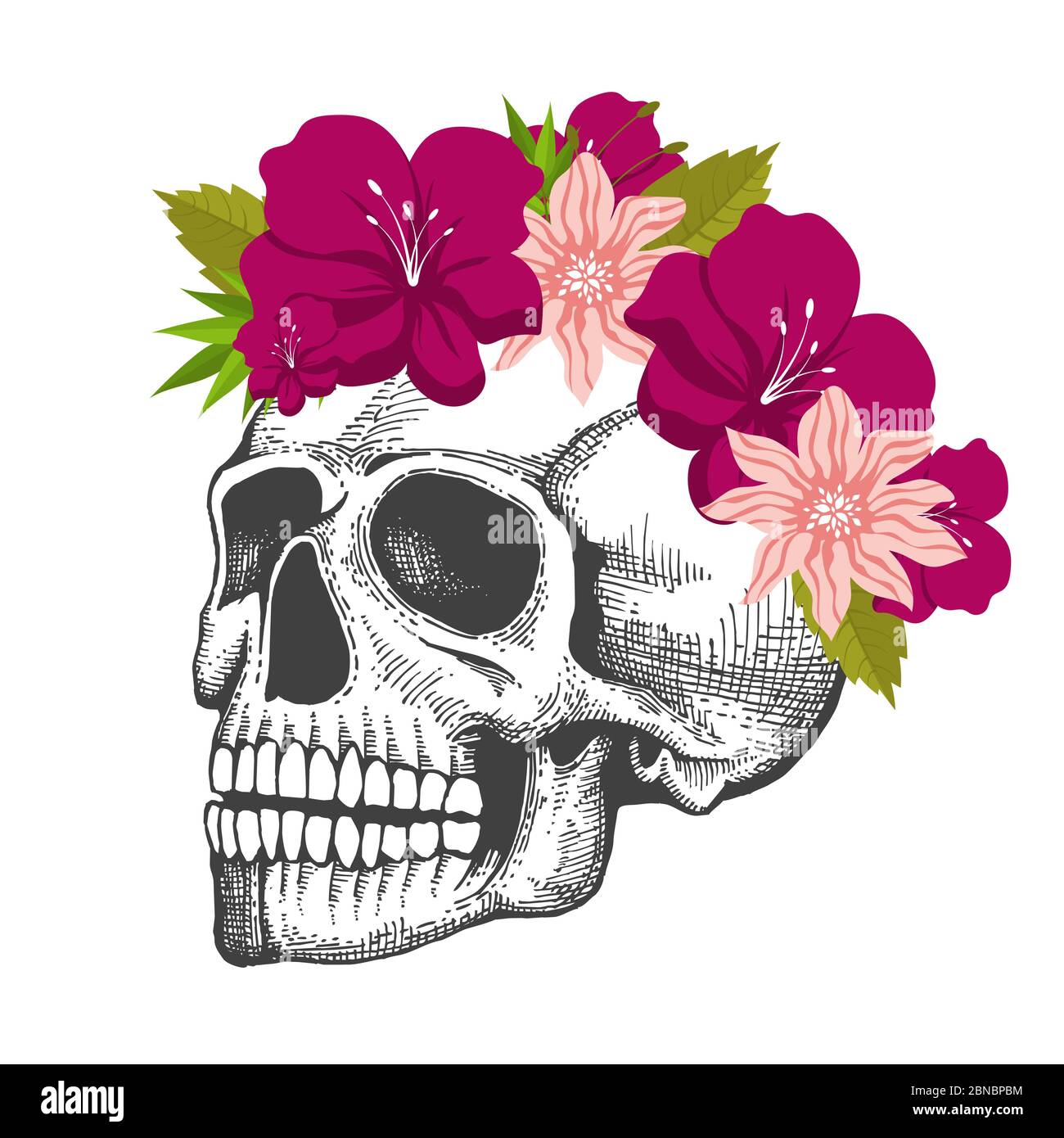 Disegno cranio umano con corona floreale isolata su sfondo bianco isolato su illustrazione bianca Illustrazione Vettoriale