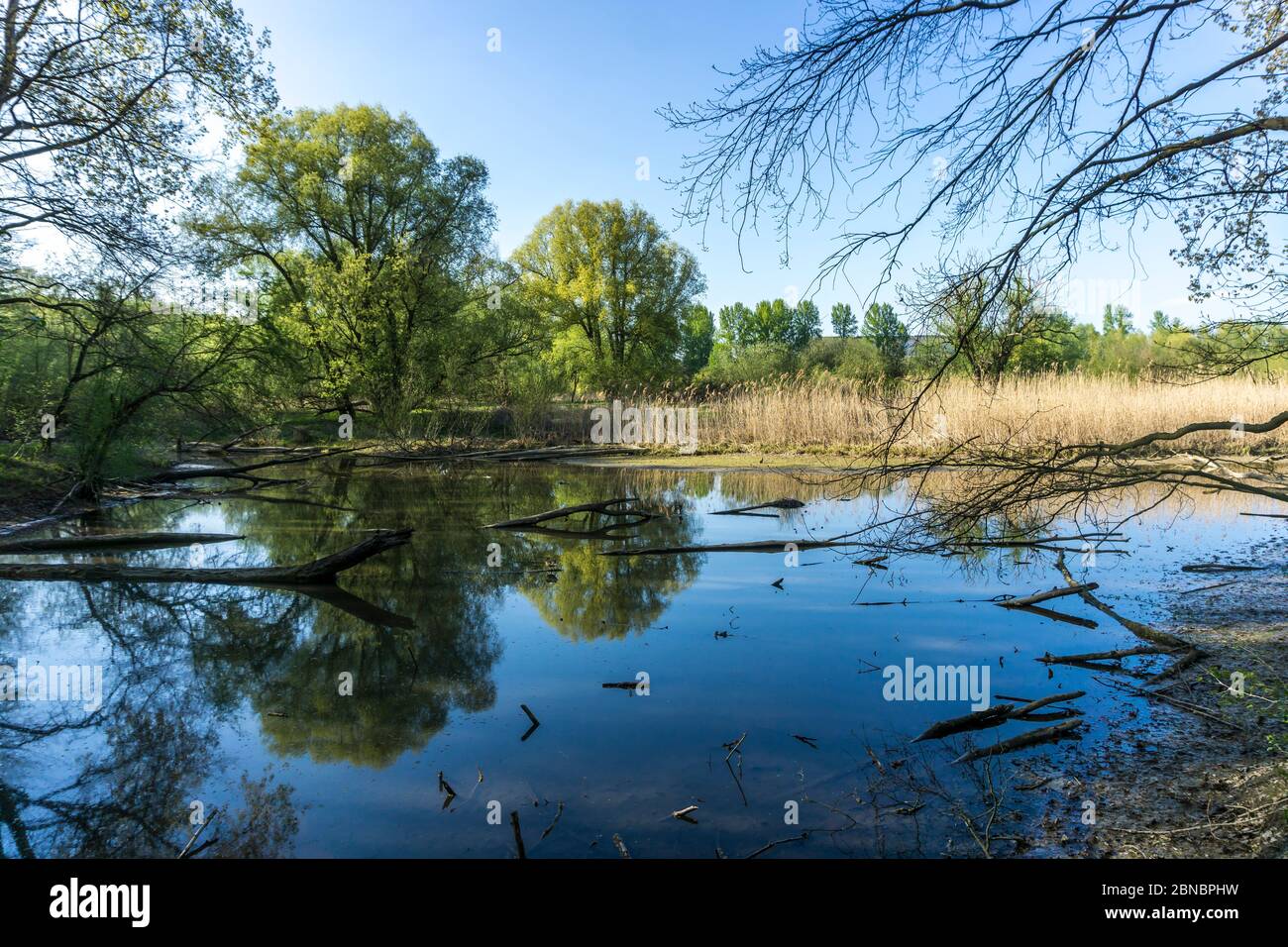 Naturschutzgebiet Lippeauen in Lünen, Nordrhein-Westfalen, Deutschland, Europa | Lippe fiume Riserva naturale pianura fluviale a Luenen, Nord Reno-Westph Foto Stock