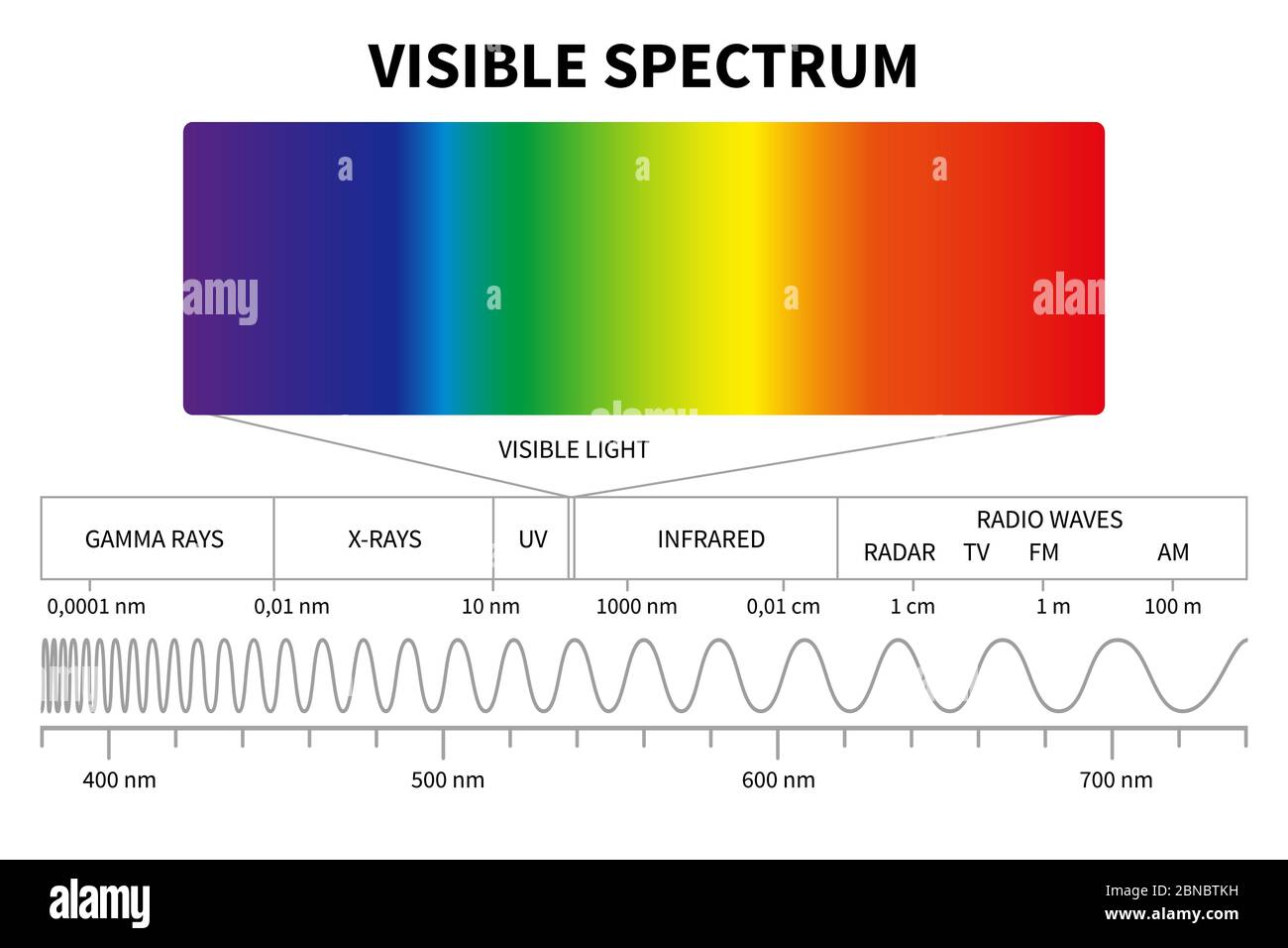 Diagramma luminoso visibile. Spettro elettromagnetico a colori, frequenza delle onde luminose. Formazione scuola fisica vettore background. Illustrazione dello schema dello spettro arcobaleno, infrarossi ed elettromagnetico Illustrazione Vettoriale