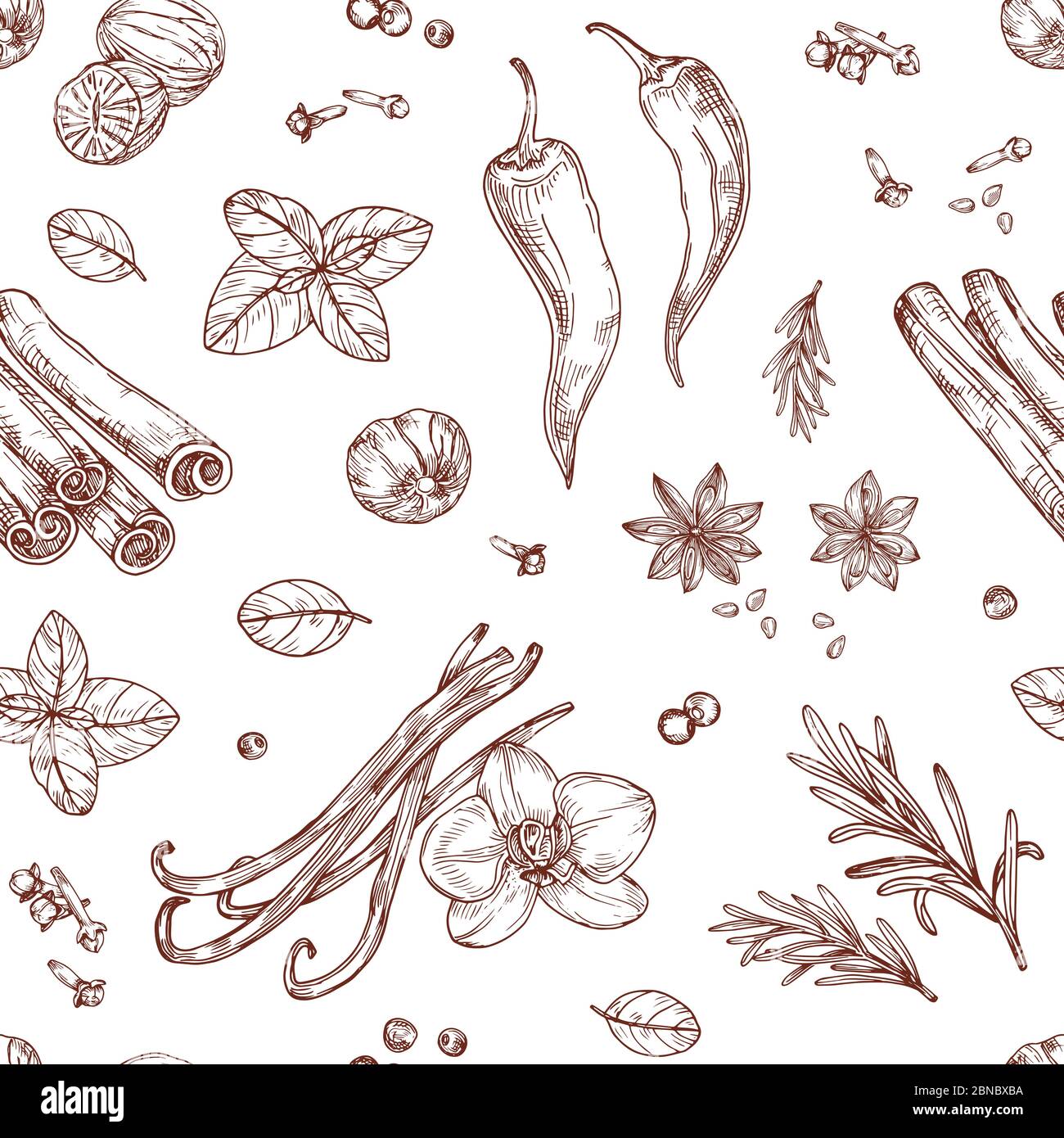 Crea un motivo senza giunture con spezie. Cottura di erbe e verdure asiatiche. Texture vettoriale disegnata a mano. Condimento all'aroma, speziato alle erbe per cucinare illustrazione Illustrazione Vettoriale