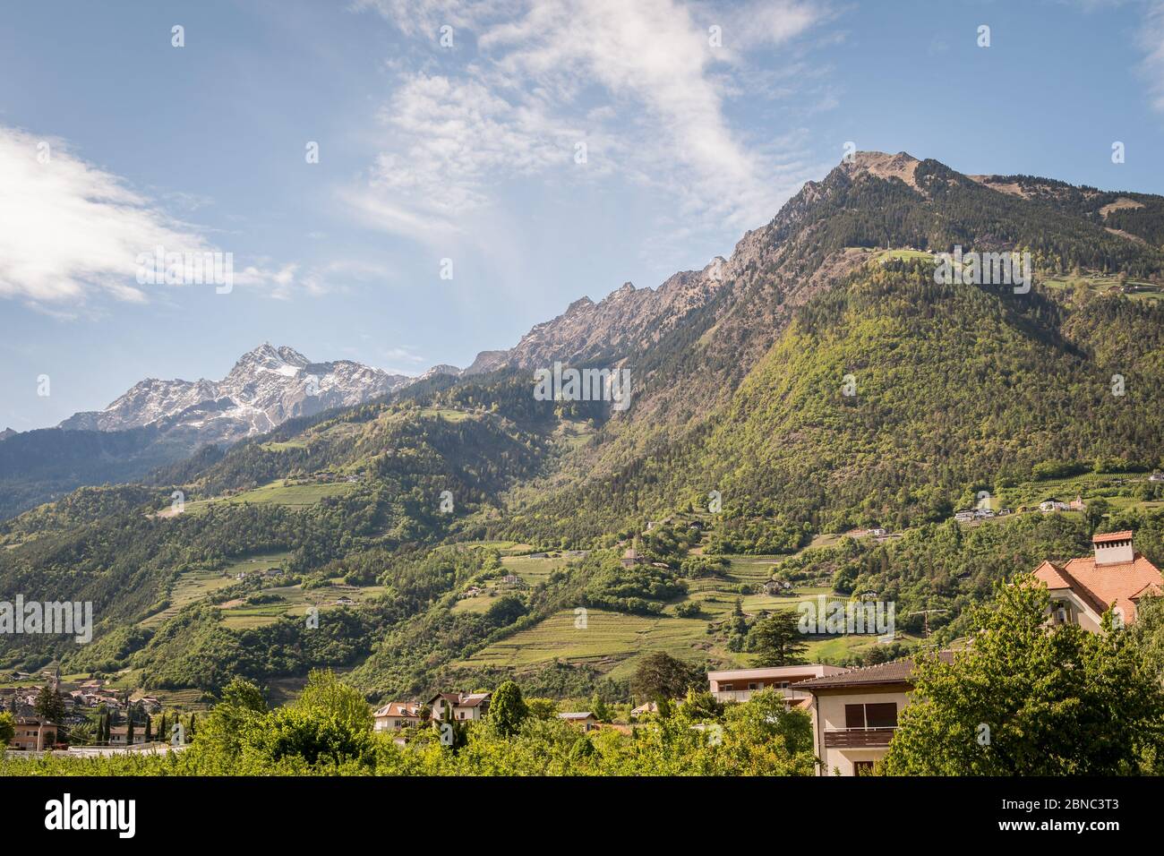 Monte Mutspitze (Monte Muta) e Tschigat a Merano, Merano Alto Adige, Alpi, Italia Foto Stock