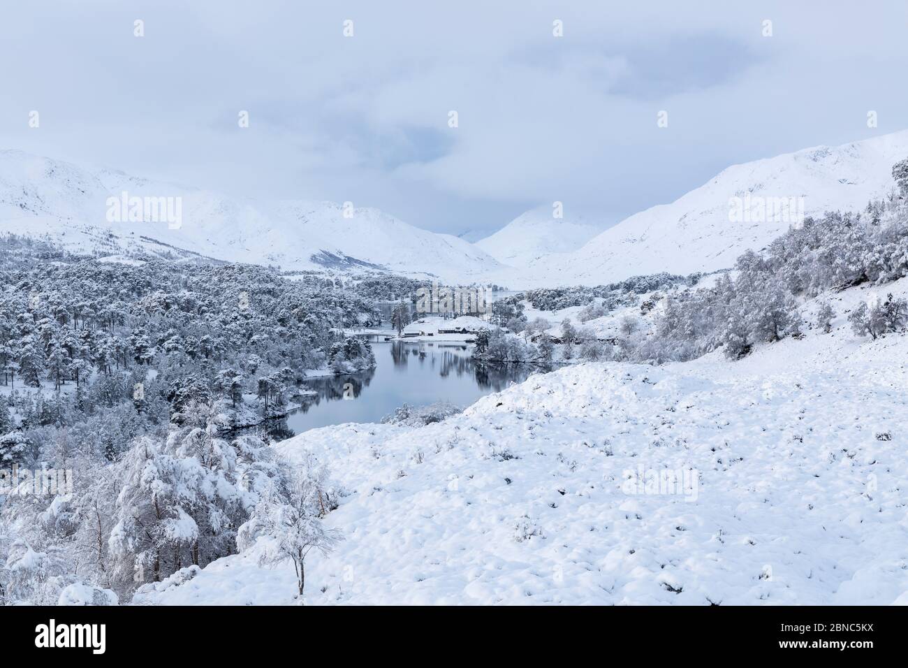 Loch Affric dopo la nevicata, Glen Affric, Highland, Scozia Foto Stock
