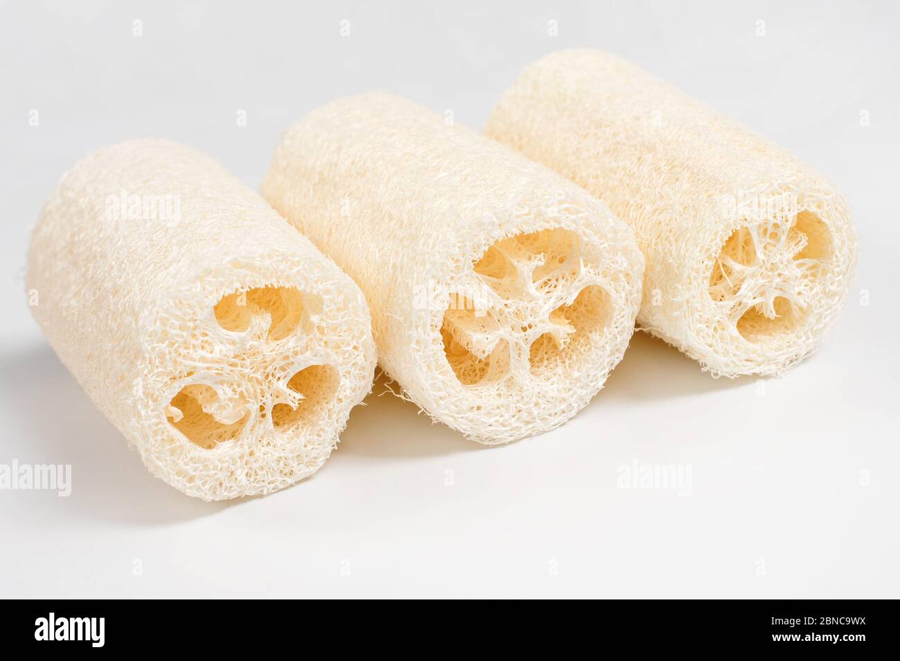 Luffa Loofah. Spugna vegetale estratta dalla pianta di Luffa su sfondo chiaro. Spugne eco-compatibili, senza sprechi. Bagno sostenibile e. Foto Stock