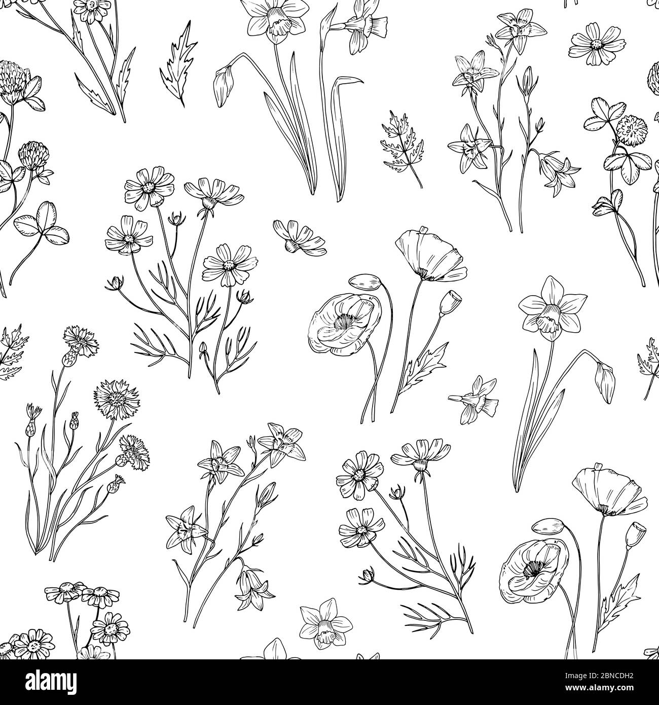 Motivo di fiori selvatici. Carta da parati floreale senza cuciture con fiori selvatici. Sfondo vettoriale vintage Fabric. Illustrazione di estate di fiori selvatici senza cuciture modello Illustrazione Vettoriale