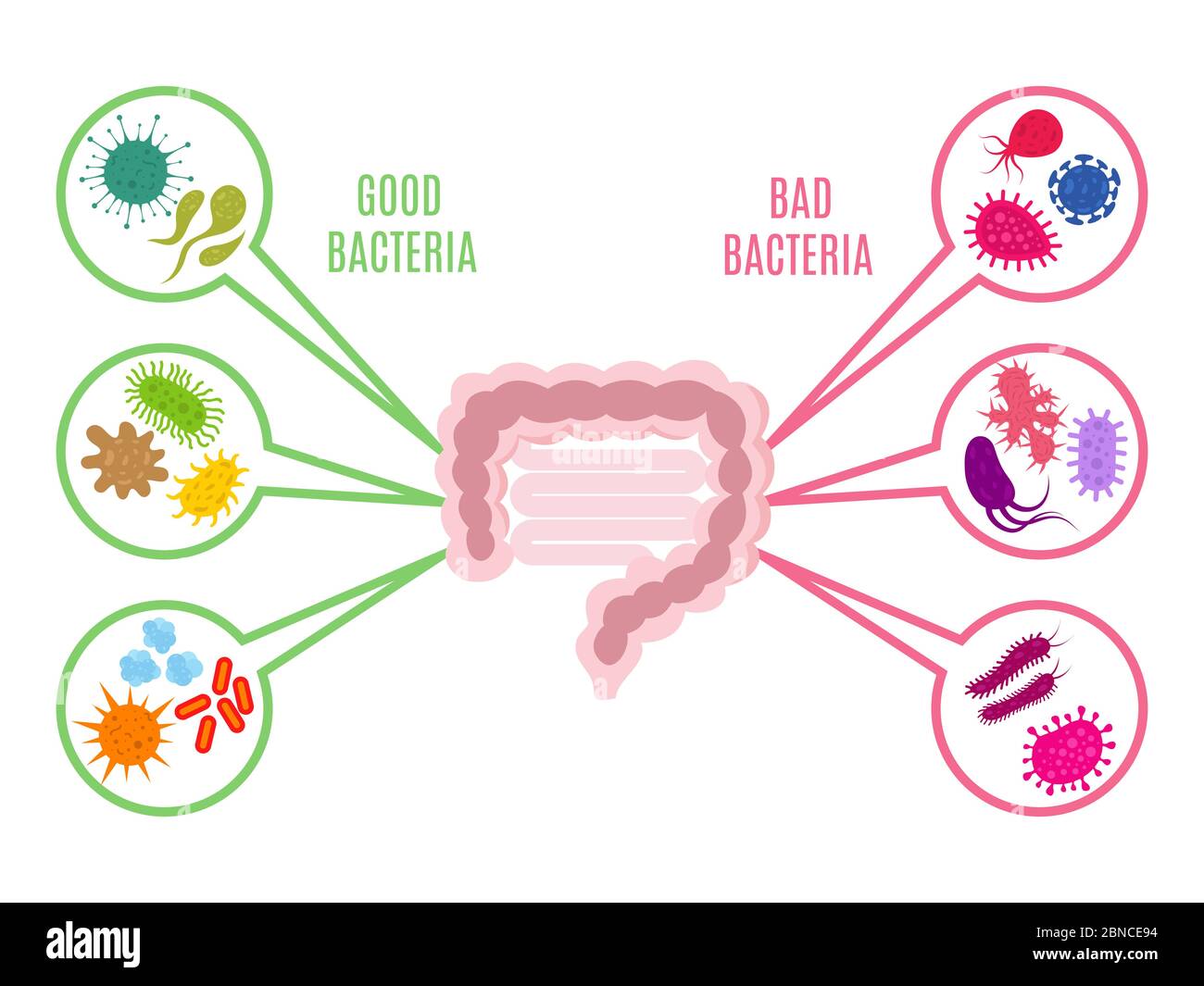 Poster del concetto di vettore di salute intestinale della flora intestinale con batteri e icone probiotici isolati su sfondo bianco. Illustrazione di batteri intestini, probiotici intestinali Illustrazione Vettoriale