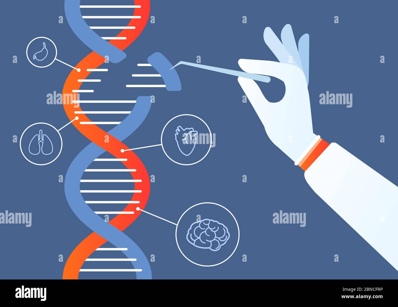 Ingegneria del DNA. Genoma crispr cas9, modifica del codice di mutazione genica. Biochimica umana e cromosomi ricerca concetto vettore. Illustrazione dell'ingegneria genetica, codice di mutazione genetico Illustrazione Vettoriale