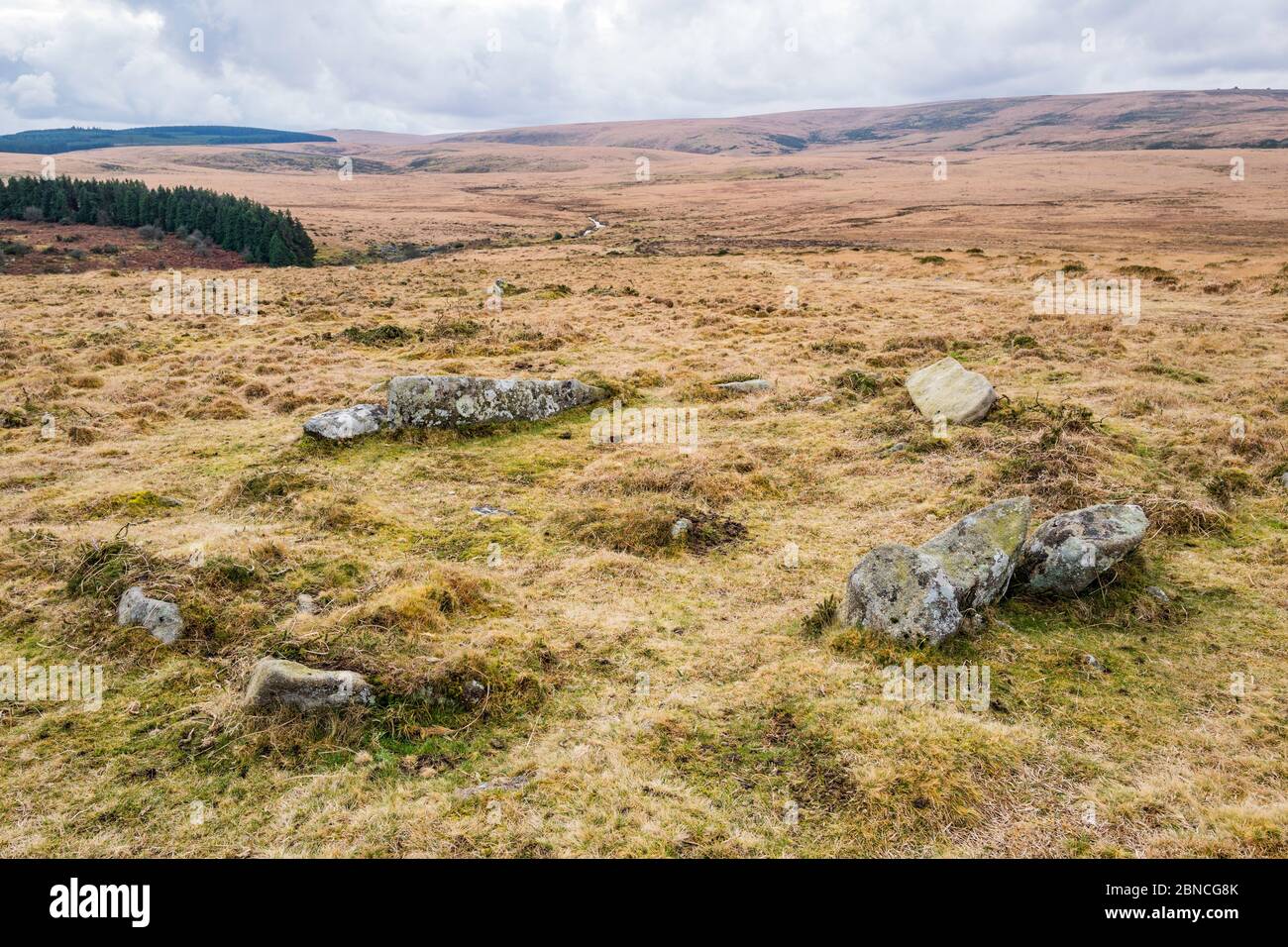 Antico cerchio di capanne su Scorhill giù vicino a Gidleigh, Dartmoor National Park, Devon, Inghilterra, Regno Unito. Foto Stock