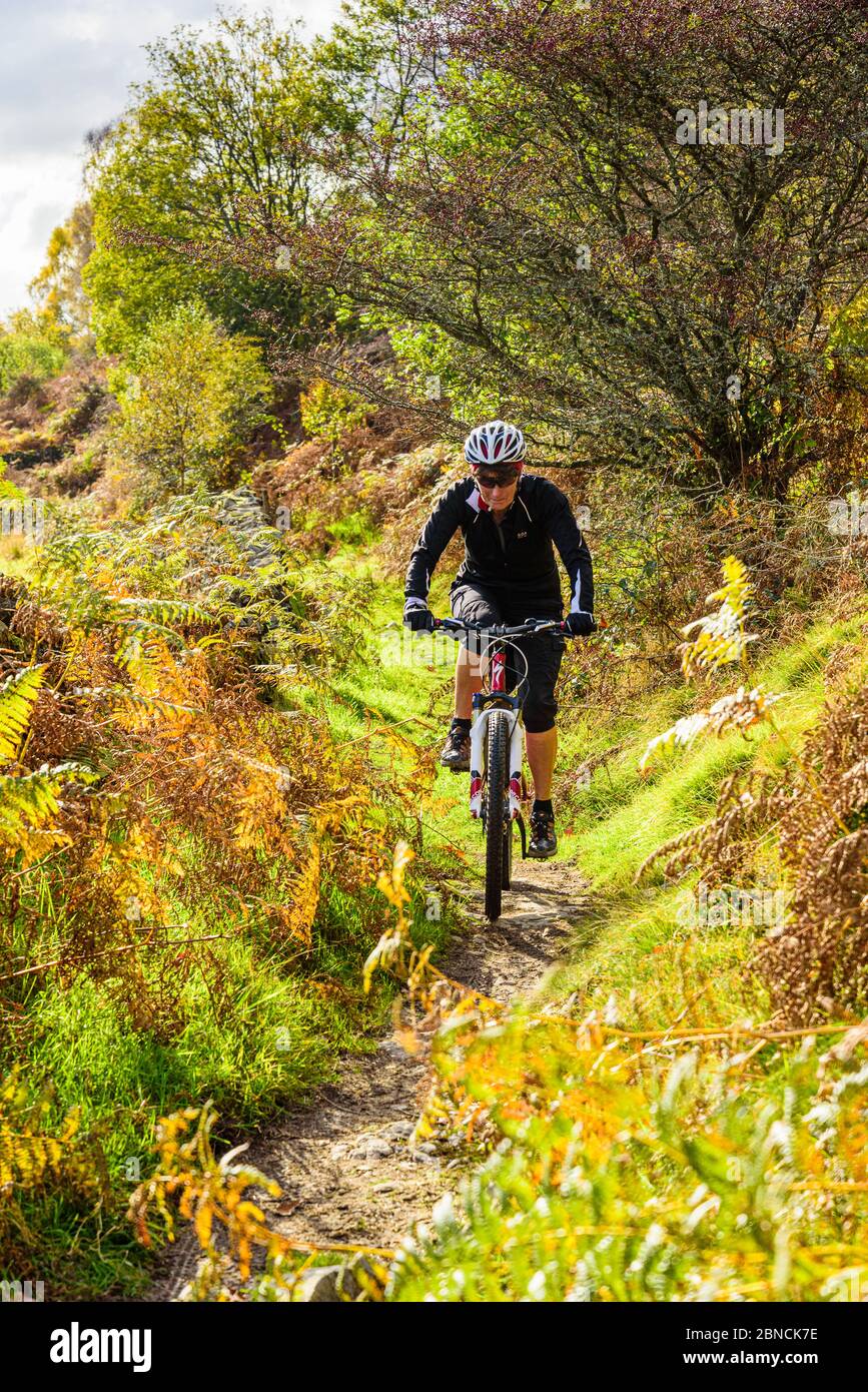 Mountain bike su un sentiero sotto la piantagione Pullscar nella zona di Skelwith del Lake District Foto Stock