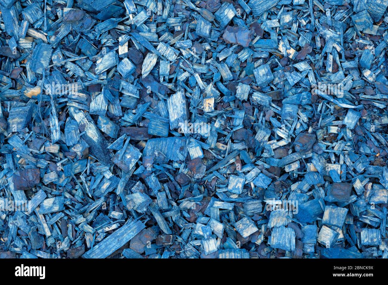 Trucioli colorati per il design paesaggistico. Vista dall'alto del pacciame blu. Il boscato blu decorativo è un materiale sicuro per pacciamare il terreno da patatine fritte Foto Stock